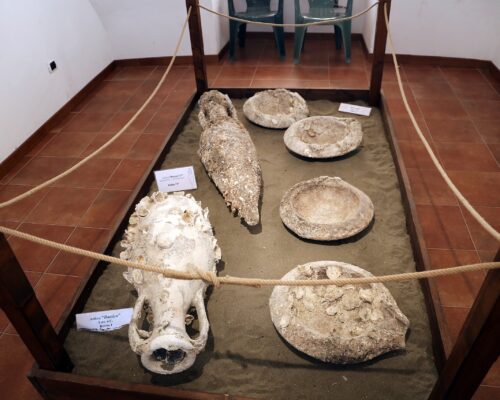 ventotene,_museo_archeologico,_anfore_romane_dai_fondali_dell'isola_01